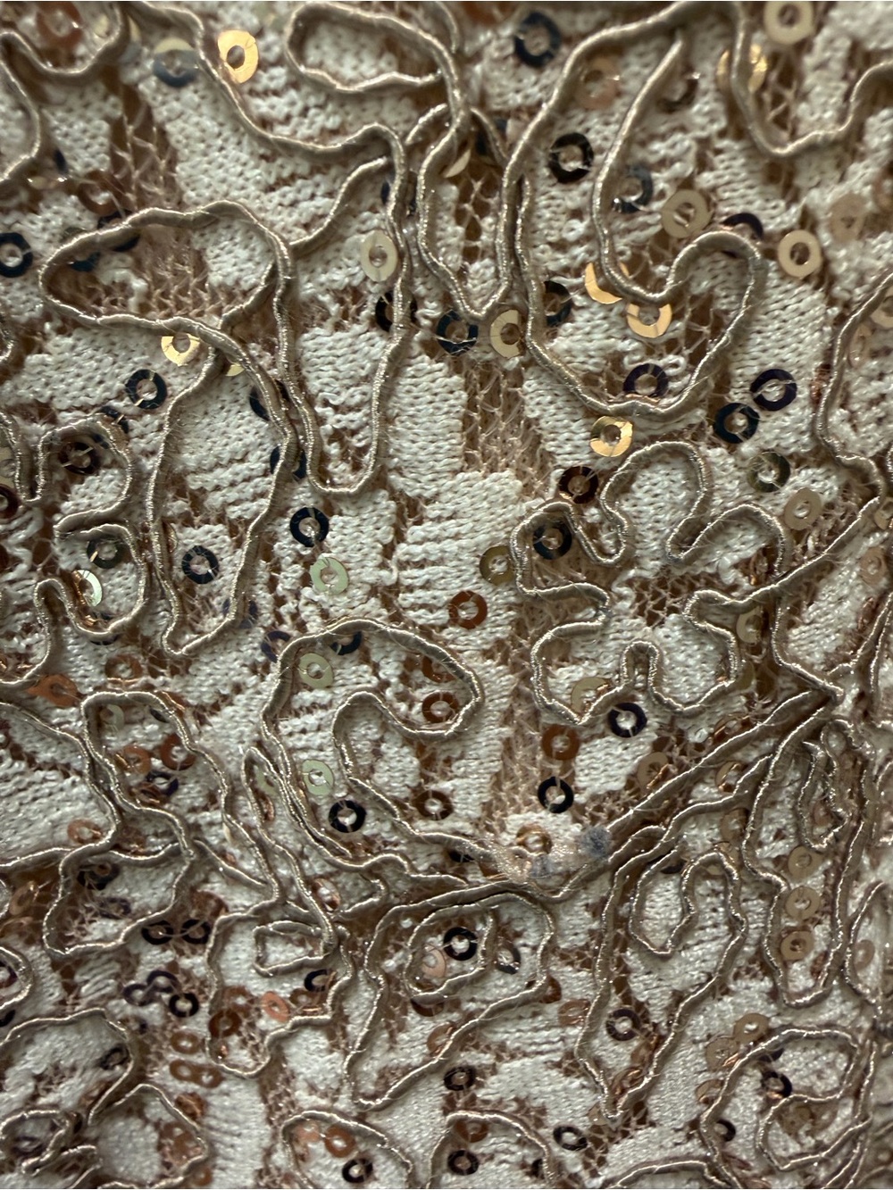 Alex Evenings Size 6 Champagne Gold Sequin Lace Maxi Dress Gown - Picture 6 of 7